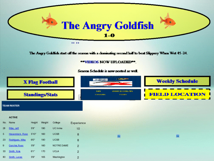 www.theangrygoldfish.com