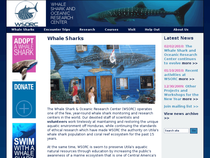 www.utilawhalesharkresearch.org