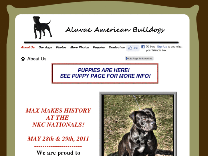 www.aluvaeamericanbulldogs.com