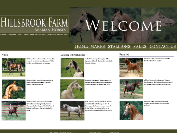 www.hillsbrookfarm.com