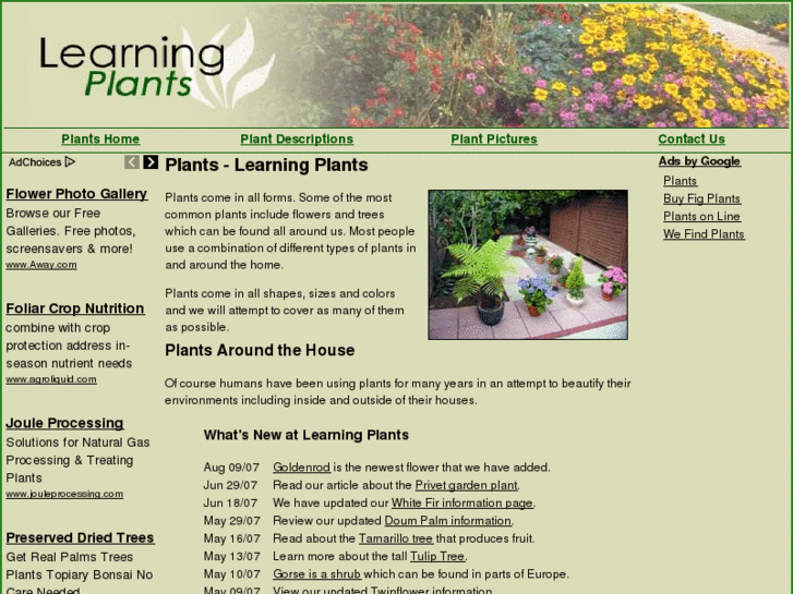 www.learningplants.com