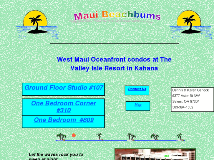 www.mauibeachbums.com