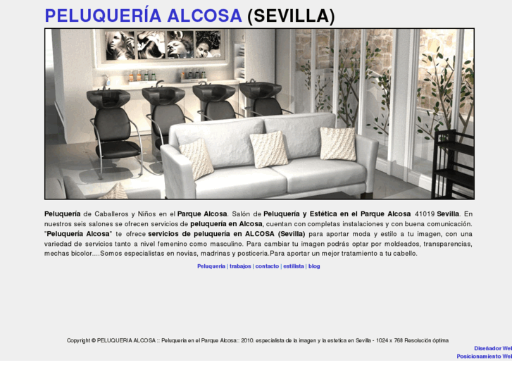 www.peluqueriaalcosa.es