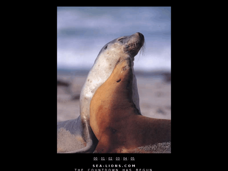 www.sea-lions.com