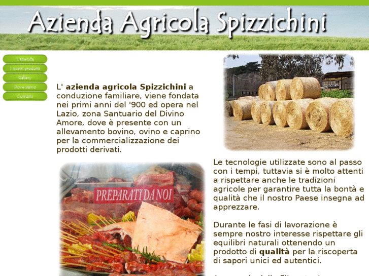 www.aziendaagricolaspizzichini.it