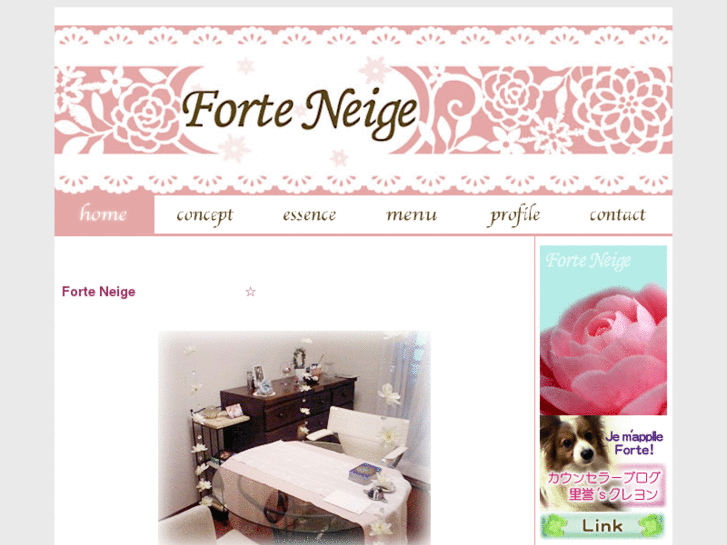 www.forteneige.com
