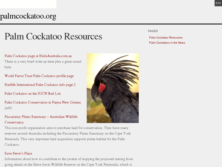 www.palmcockatoo.org