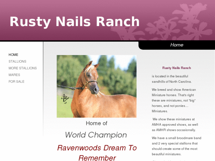 www.rustynailsranch.com