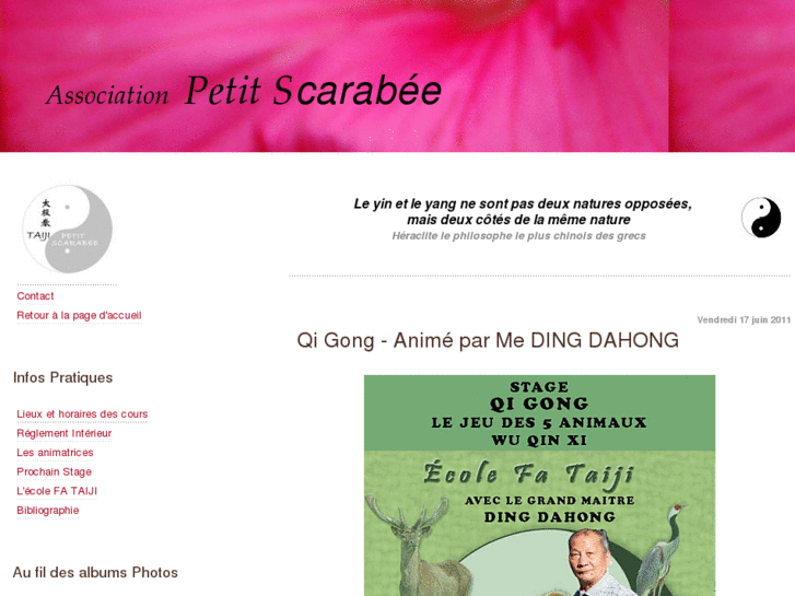 www.taiji-petit-scarabee.com