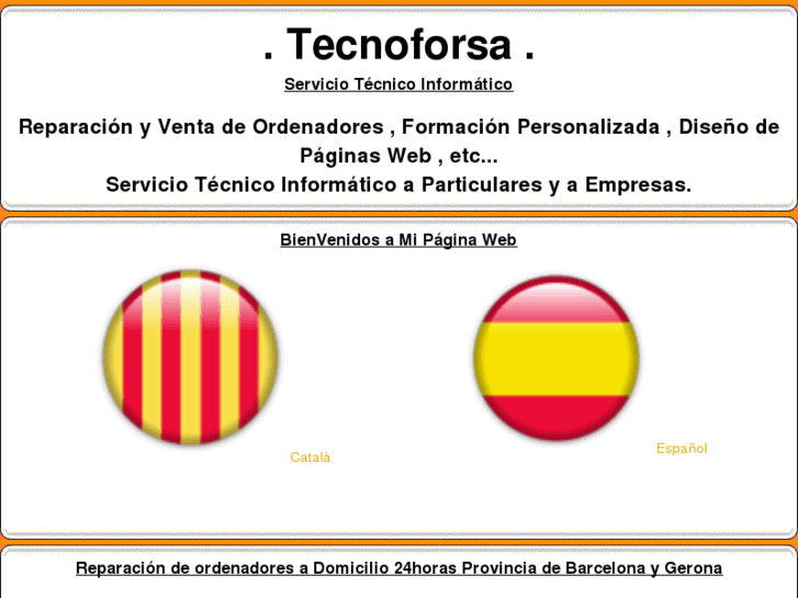 www.tecnoforsa.com