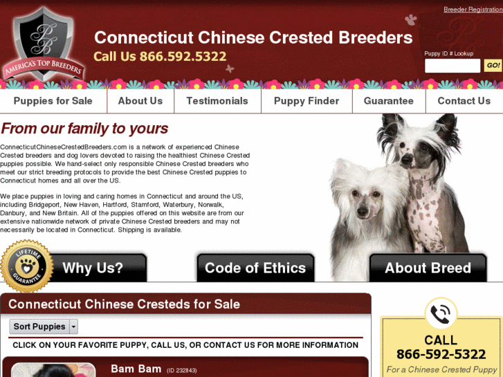 www.connecticutchinesecrestedbreeders.com