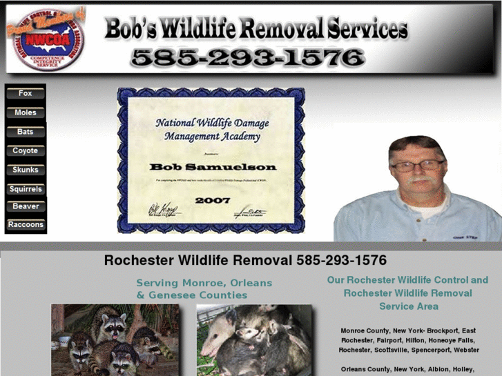 www.rochesterwildliferemoval.com