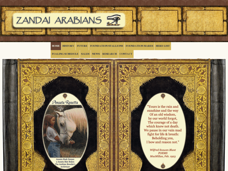 www.zandaiarabians.com