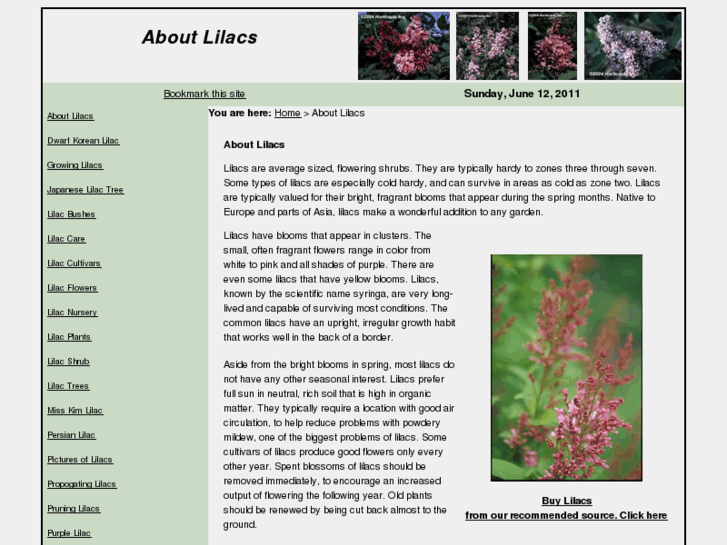 www.aboutlilacs.com