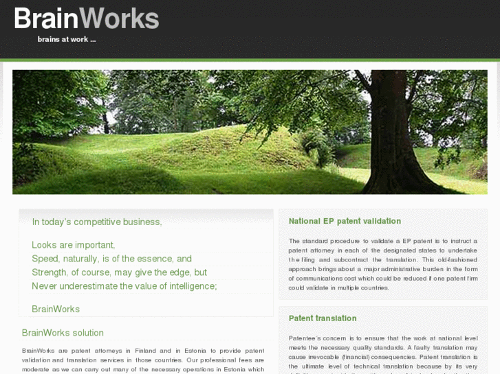 www.brainworks.fi