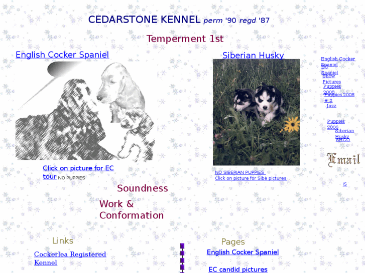 www.cedarstone.info