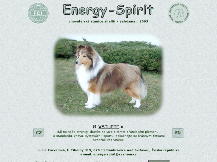 www.energy-spirit.com