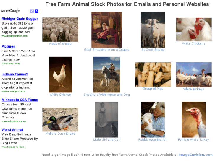 www.farmanimalstockphotos.com