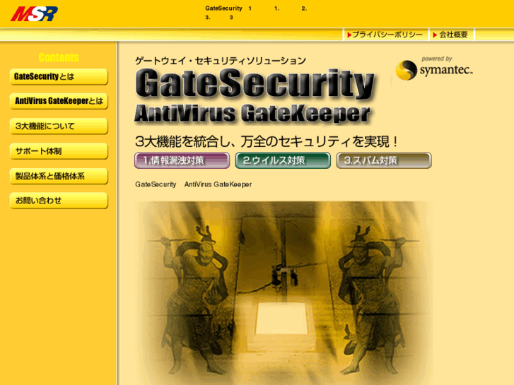 www.msr-gatesecurity.com