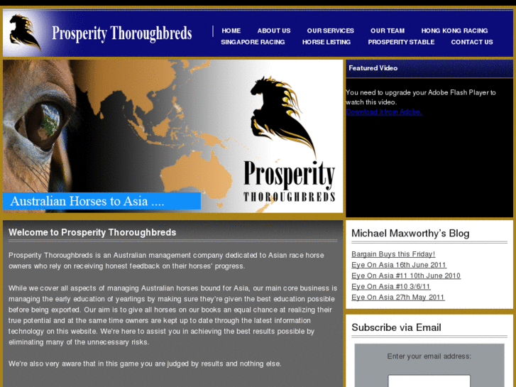 www.prosperitythoroughbreds.com