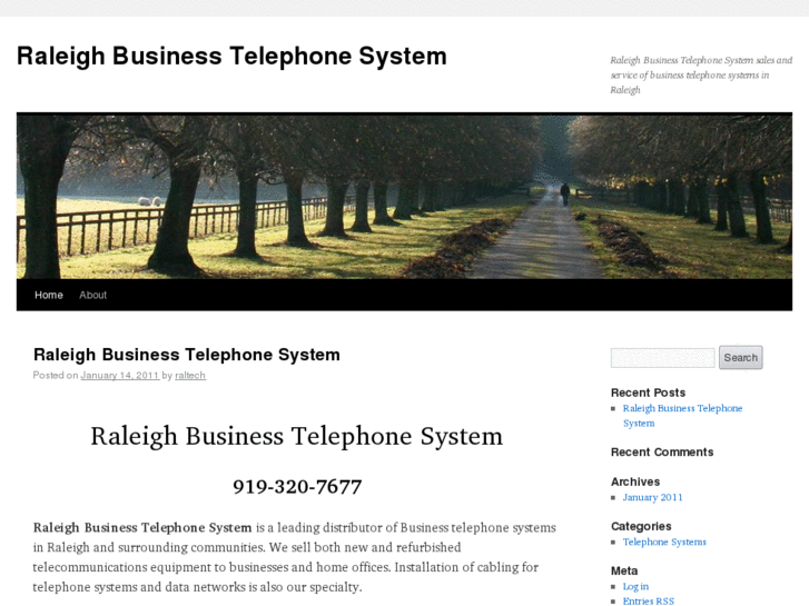 www.raleighbusinesstelephonesystem.com