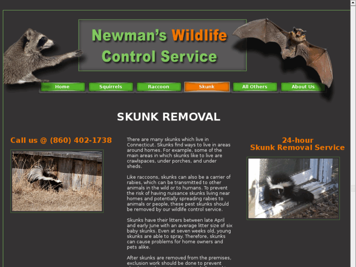 www.skunkremoval-ct.com