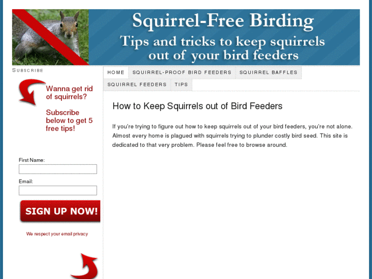 www.squirrelfreebirding.com