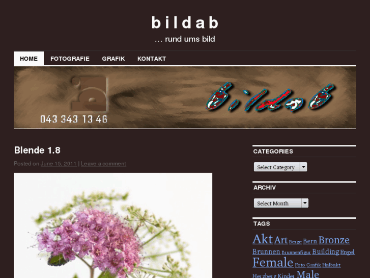 www.bildab.ch