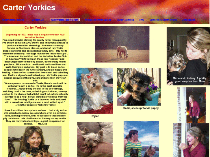 www.carteryorkies.com