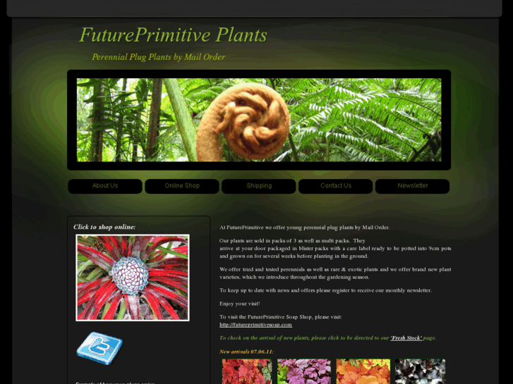 www.futureprimitiveplants.com