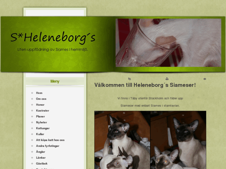 www.heleneborgs.com