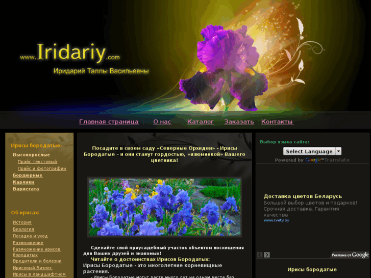 www.iridariy.com