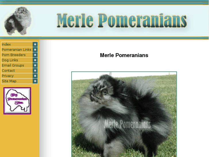 www.merlepomeranian.com