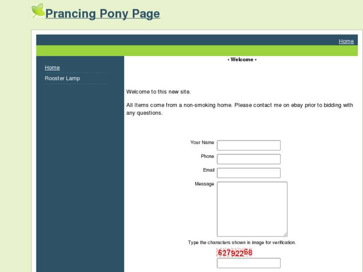 www.myprancingpony.com