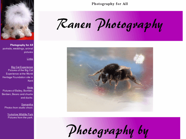 www.ranen-photography.com