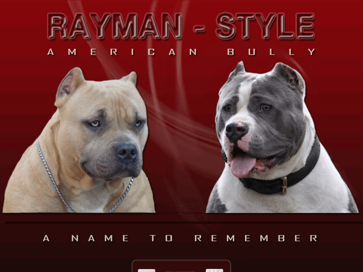 www.rayman-stylebullys.com