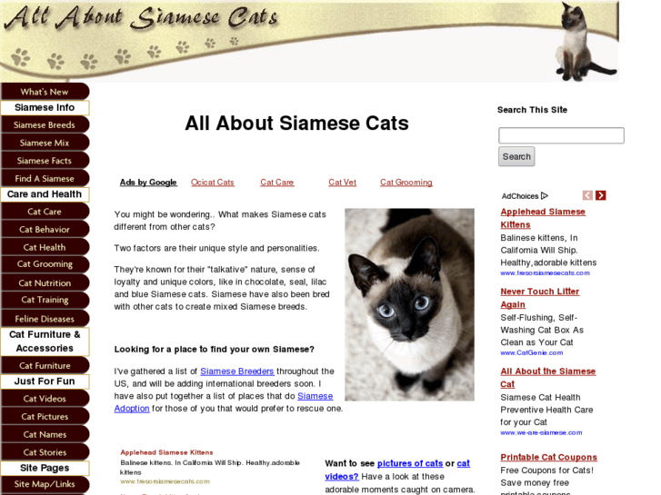 www.all-about-siamese-cats.com