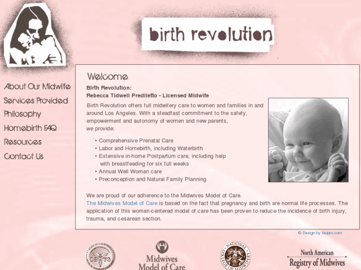 www.birthrevolutionmidwifery.com