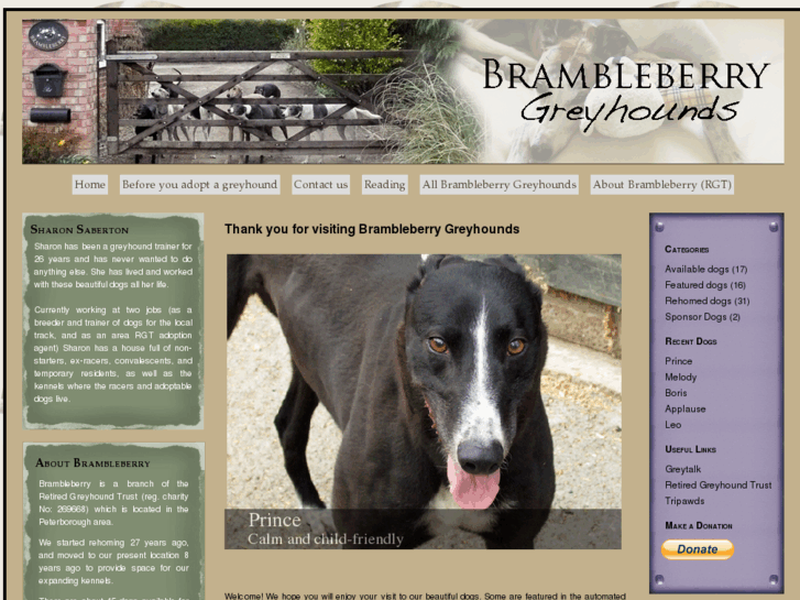 www.brambleberry-greyhounds.co.uk
