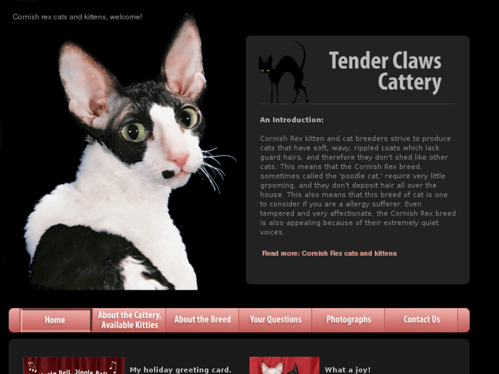 www.cornish-rex-breeder.com