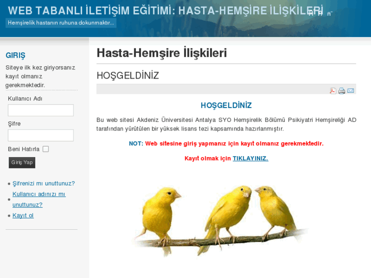 www.hemsireegitimi.net