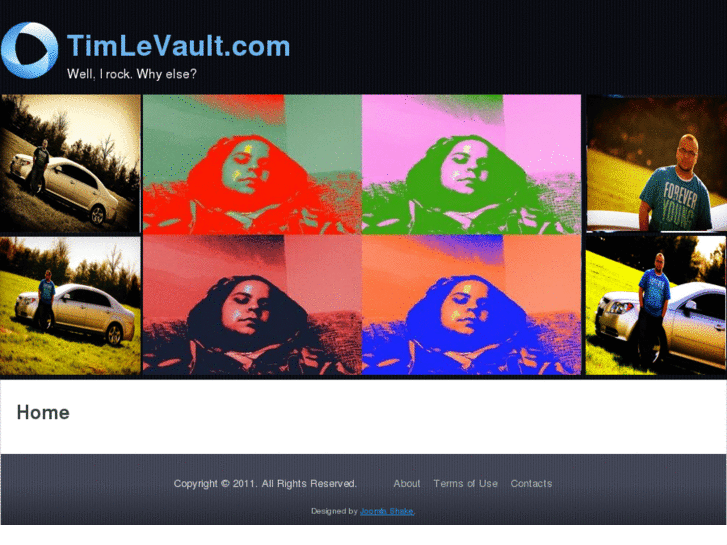 www.timlevault.com