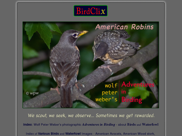 www.birdclix.com