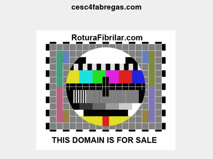 www.cesc4fabregas.com