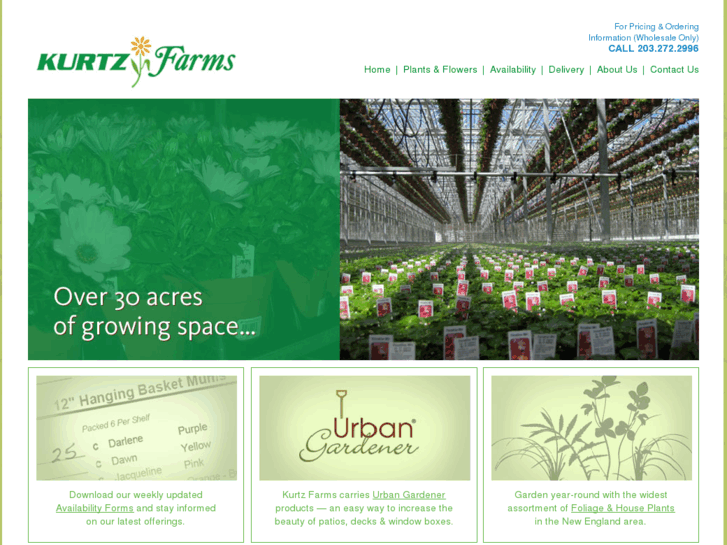 www.kurtz-farms.com