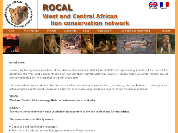 www.rocal-lion.org