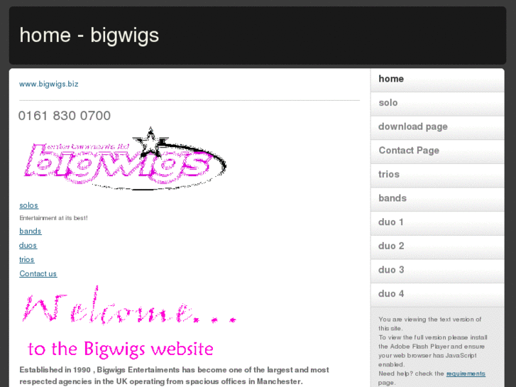 www.bigwigs.biz