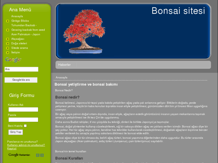 www.bonsaist.net