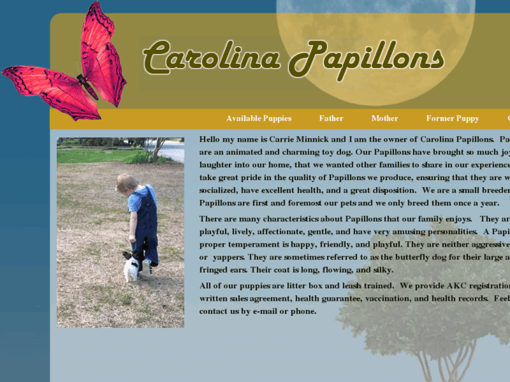 www.carolinapapillons.com