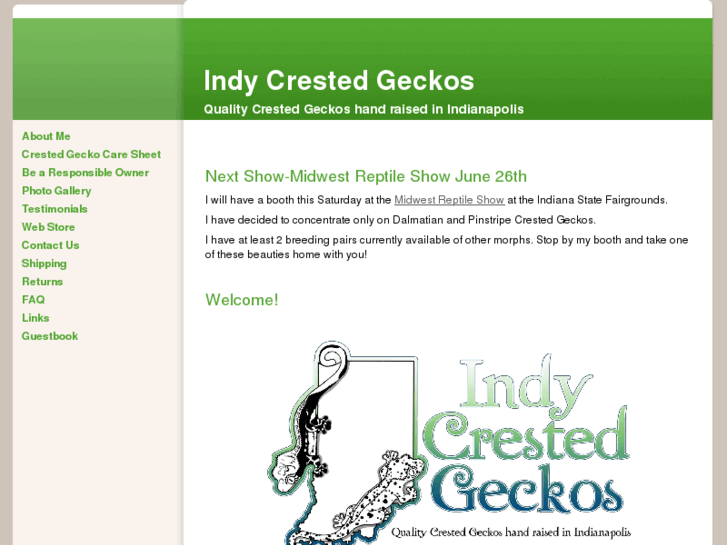 www.indycrestedgeckos.com